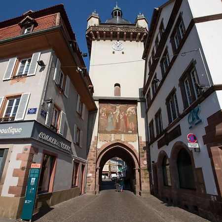 Le Rhenanus Jacques Spiegel - Ideal Pour Un Couple - Appartement Au Calme - Parking Gratuit Sélestat Exterior foto