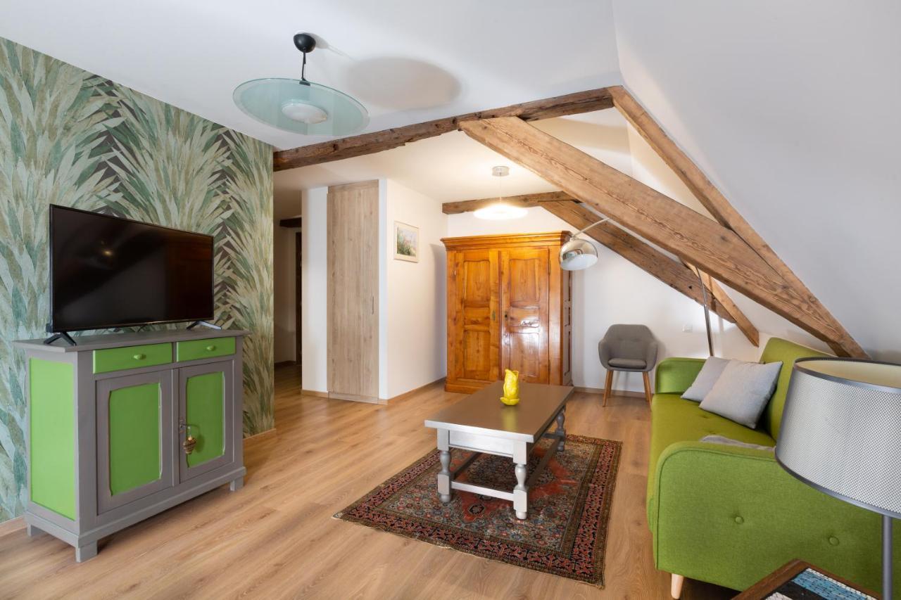 Le Rhenanus Jacques Spiegel - Ideal Pour Un Couple - Appartement Au Calme - Parking Gratuit Sélestat Exterior foto