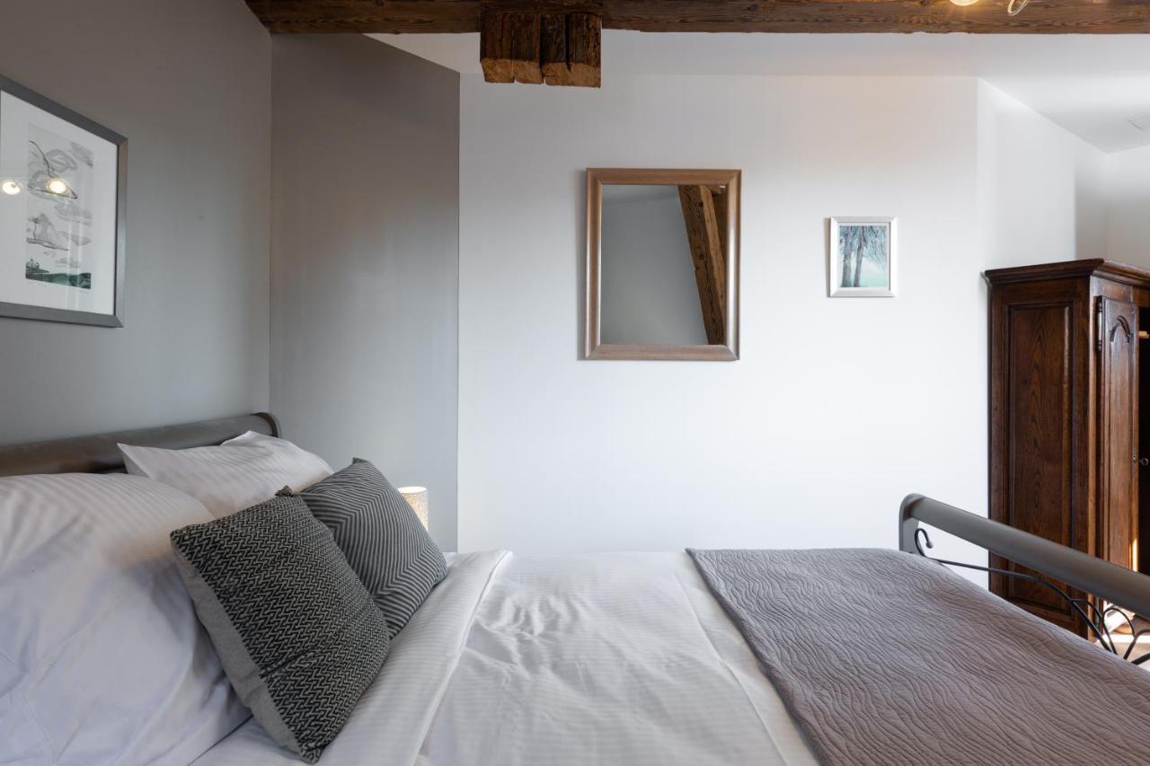 Le Rhenanus Jacques Spiegel - Ideal Pour Un Couple - Appartement Au Calme - Parking Gratuit Sélestat Exterior foto
