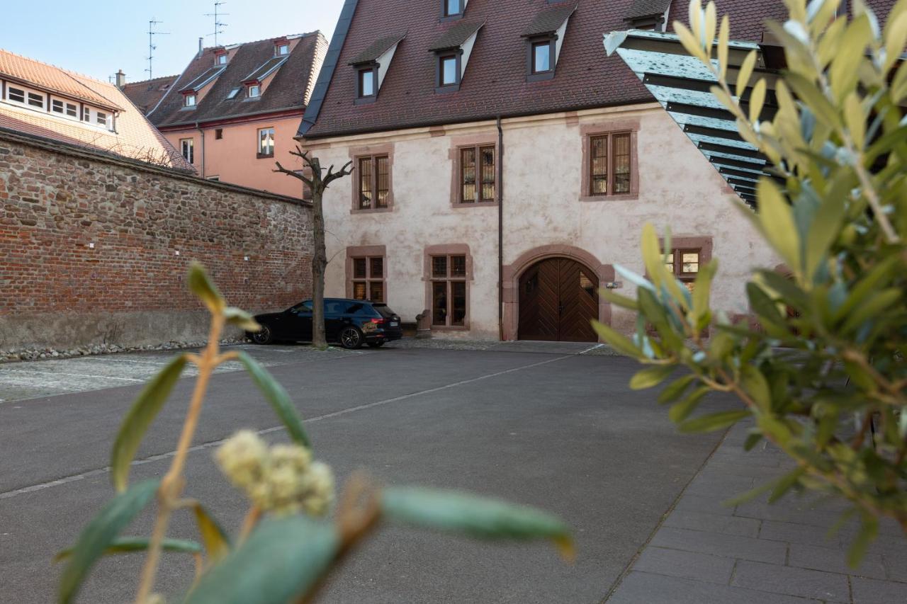 Le Rhenanus Jacques Spiegel - Ideal Pour Un Couple - Appartement Au Calme - Parking Gratuit Sélestat Exterior foto